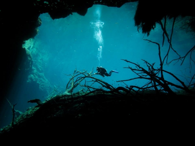  Cenote carwash 